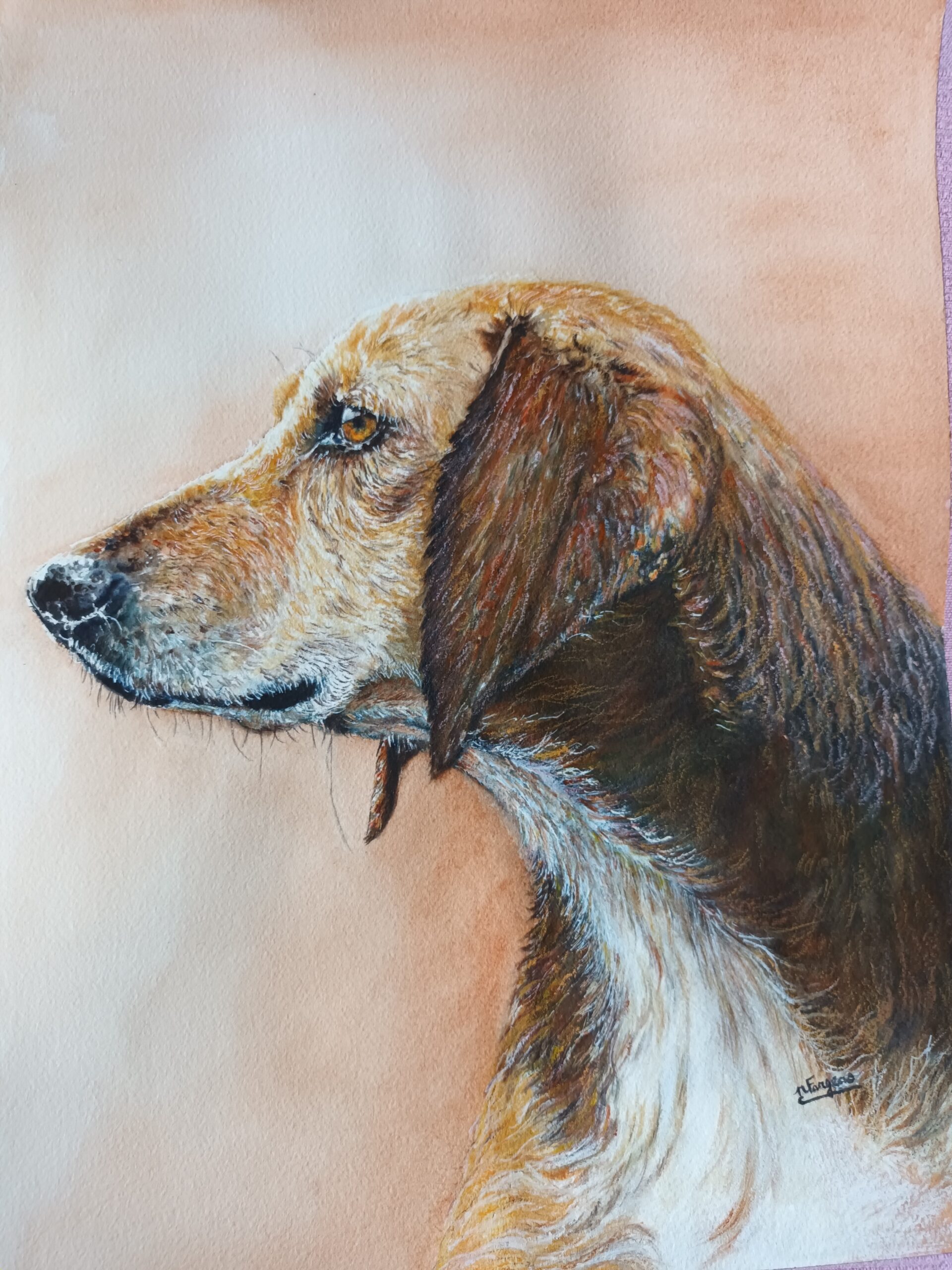 Fargeas Nicole Aquarelle de Nicole Fargeas